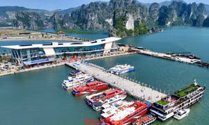 Quảng Ninh: Đưa vào sử dụng cảng tàu du lịch cao cấp Ao Tiên khi đi các xã đảo
