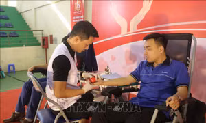 Trên 1.600 đoàn viên, thanh niên, sinh viên tham gia 'Chủ nhật đỏ'