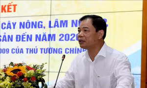 Việt Nam – Trung Quốc thúc đẩy hợp tác chế biến và thương mại nông sản