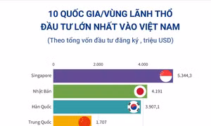10 quốc gia/vùng lãnh thổ đầu tư lớn nhất vào Việt Nam