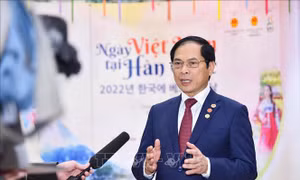 Bộ trưởng Bùi Thanh Sơn: Quan hệ Việt Nam – Hàn Quốc đã có những tiến triển vượt bậc