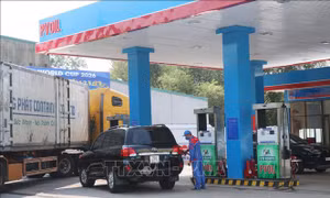 An ninh năng lượng: Mở rộng 'phủ sóng' xăng sinh học E10