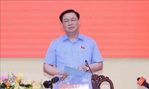 Chủ tịch Quốc hội làm việc với Ban Thường vụ Tỉnh ủy Bến Tre