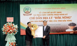 Công bố chỉ dẫn địa lý cho hạt tiêu Đắk Nông