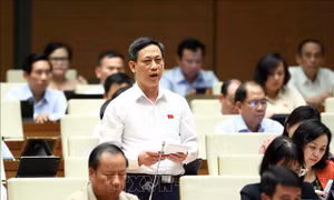 Nâng cao hiệu quả kinh tế tập thể trong giai đoạn mới