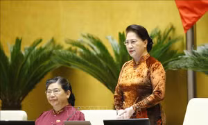 Thông cáo báo chí số 12, Kỳ họp thứ 10, Quốc hội khóa XIV