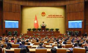 Để đất đai thành nguồn lực phát triển bền vững - Bài 1: Thời điểm chín muồi