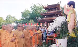 Đại lễ Phật đản năm 2026 tại Cần Thơ 