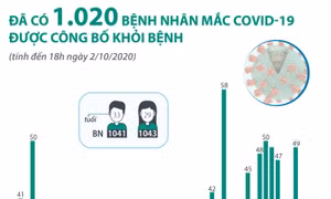 Đã có 1.020 bệnh nhân mắc COVID-19 được công bố khỏi bệnh 