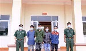 Bắt giữ 4 đối tượng vượt biên trái phép