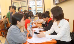 Hỗ trợ giải quyết việc làm, nâng cao thu nhập cho người lao động