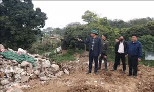 Xử lý cán bộ nếu để vi phạm đất bãi bồi ven sông Hồng
