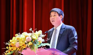 187 thí sinh tham gia Kỳ thi chọn đội tuyển quốc gia dự thi Olympic quốc tế, khu vực 2025