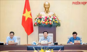 Năm 2025, giám sát về bảo vệ môi trường và sử dụng nguồn nhân lực