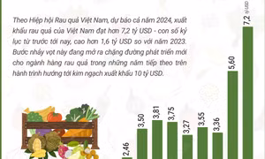 Dự báo năm 2024, xuất khẩu rau quả đạt kỷ lục hơn 7,2 tỷ USD