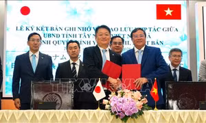 Tây Ninh thúc đẩy hợp tác nhiều mặt với tỉnh Yamanashi, Nhật Bản