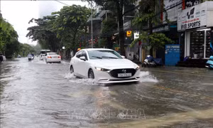Chủ động ứng phó với mưa lớn khu vực Trung Bộ