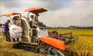 Xây dựng, phát triển đội ngũ nông dân chuyên nghiệp 