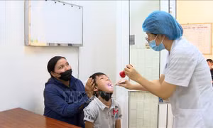 Tăng cường giám sát, phòng, chống bệnh bạch hầu