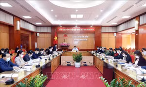Xem xét dự thảo đề án thành lập, phát triển Công viên địa chất toàn cầu tỉnh Lạng Sơn