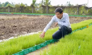Vinh quang Việt Nam 2025: Nhà khoa học của đồng ruộng