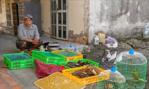 Người dân giao nộp 42 con chim, cò hoang dã để thả về tự nhiên