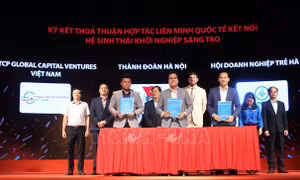 Phát triển hệ sinh thái khởi nghiệp Việt Nam trong và ngoài nước