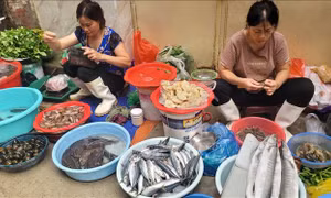 Hà Nội: Thực phẩm dồi dào, giá rau xanh 'hạ nhiệt' sau mưa bão 