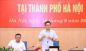 Xử lý dứt điểm các vấn đề phát sinh trong thực hiện Đề án 06 tại Hà Nội