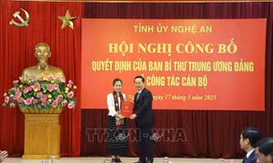 Bà Võ Thị Minh Sinh giữ chức Phó Bí thư Tỉnh ủy Nghệ An