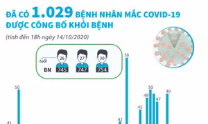 Đã có 1.029 bệnh nhân mắc COVID-19 được công bố khỏi bệnh (đến 18h ngày 14/10/2020)