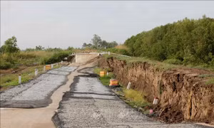 Đê biển Tây xuất hiện nhiều đoạn sạt lở nghiêm trọng