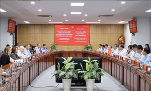 ĐH Cần Thơ mong muốn thúc đẩy hợp tác với các viện, trường của LB Nga về chuyển đổi số