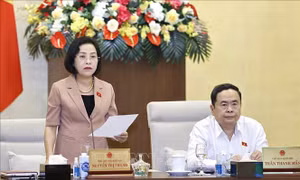 Ủy ban Thường vụ Quốc hội cho ý kiến về việc giải trình, tiếp thu, chỉnh lý dự thảo Luật Công đoàn (sửa đổi)