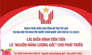Các điển hình tiên tiến là 'nguồn năng lượng gốc' cho phát triển