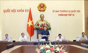 Hai nhóm vấn đề chính trong phiên họp thứ 15 của Uỷ ban Thường vụ Quốc hội 