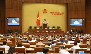 Sửa Luật để cải thiện môi trường đầu tư kinh doanh trong xây dựng