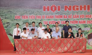 Xúc tiến tiêu thụ bí xanh thơm Ba Bể