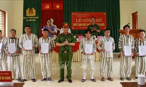 Niềm vui ngày đặc xá