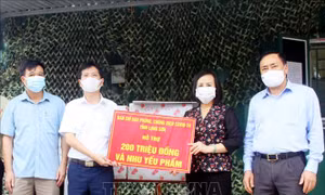 Tăng cường phòng, chống dịch COVID-19 tại các huyện biên giới Lạng Sơn