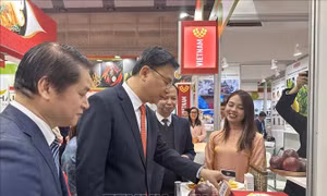 Doanh nghiệp nông sản Việt Nam khẳng định vị thế tại Foodex Japan 2026