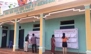 Người dân Quảng Ninh hoàn thành bầu trưởng thôn, bản, khu phố
