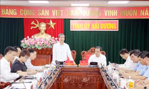Hải Dương cần có cơ chế ưu đãi để đào tạo, bồi dưỡng, thu hút giáo viên