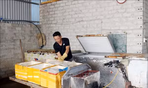 Điểm tựa tín dụng cho những người từng lầm lỗi