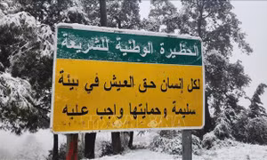 Tuyết rơi giữa mùa Xuân ở Algeria