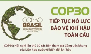COP30 tiếp tục nỗ lực bảo vệ khí hậu toàn cầu