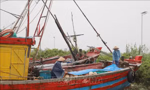 Ninh Bình: Khẩn trương triển khai các biện pháp phòng, chống bão số 3 