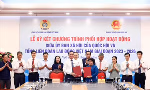 Tăng cường phối hợp, nâng cao chất lượng chính sách liên quan đến người lao động