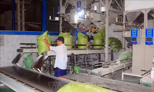 Kim ngạch xuất khẩu hàng hóa cả nước 10 tháng tăng 4,7%