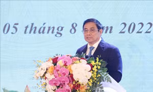 Giải phóng nguồn lực tài nguyên cho phát triển, bảo vệ môi trường sống an toàn cho nhân dân